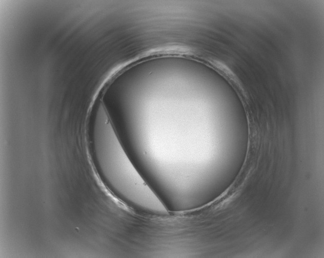 X0000063490989200601201046