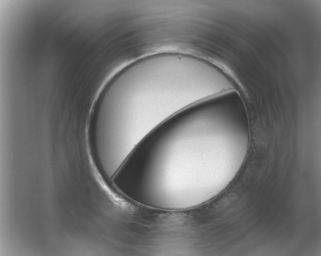 X0000063490991200601201046