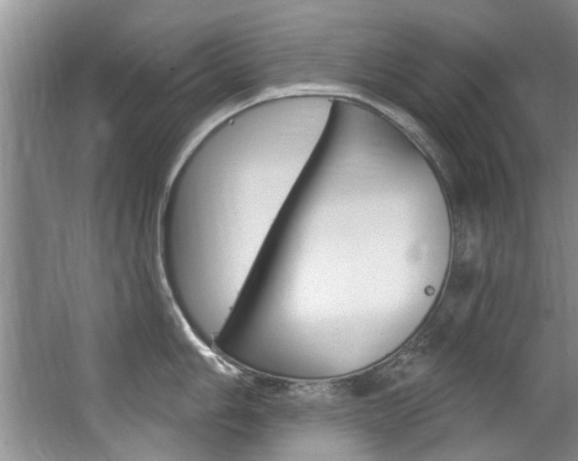 X0000063491006200601201046