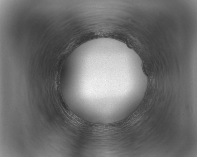 X0000063491012200601201045