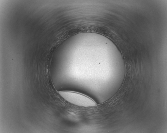 X0000063491013200601201045
