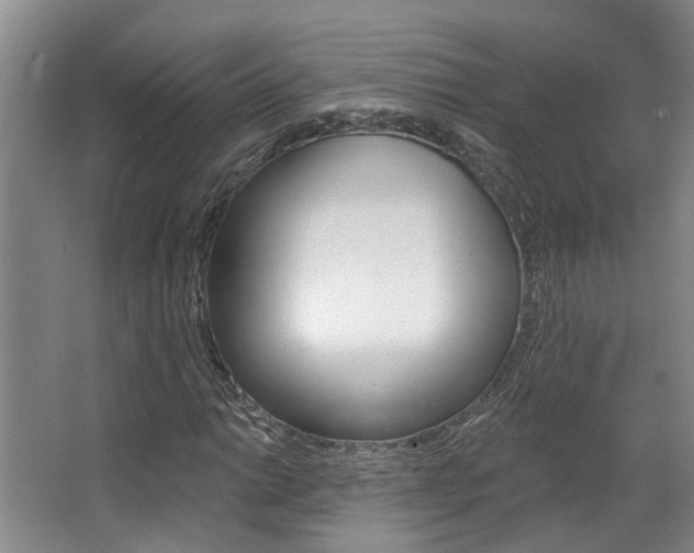 X0000063491014200601201045