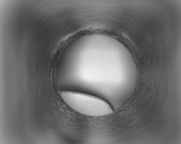 X0000063491016200601201045