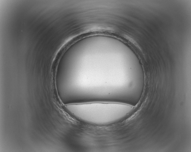 X0000063491021200601201045