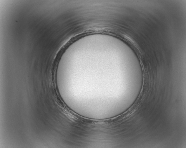 X0000063491023200601201045