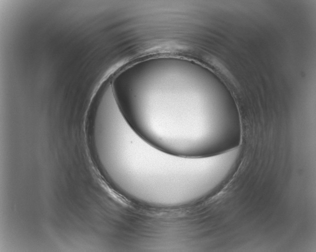 X0000063491026200601201045