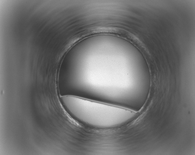 X0000063491033200601201045