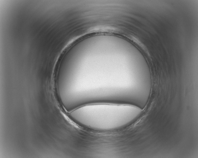 X0000063491037200601201046