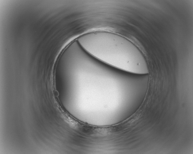 X0000063491044200601201046