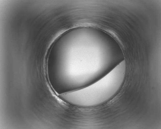 X0000063491046200601201046