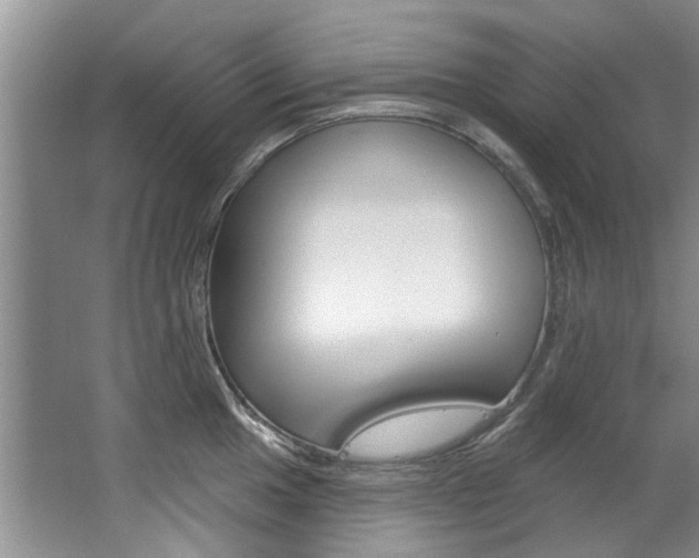 X0000063491049200601201046
