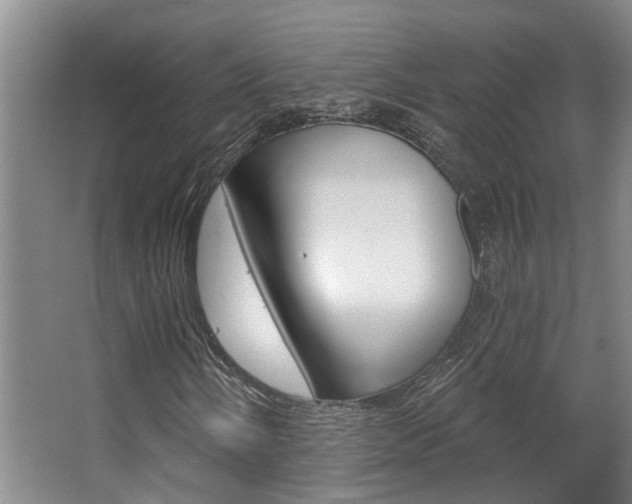 X0000063491058200601201045