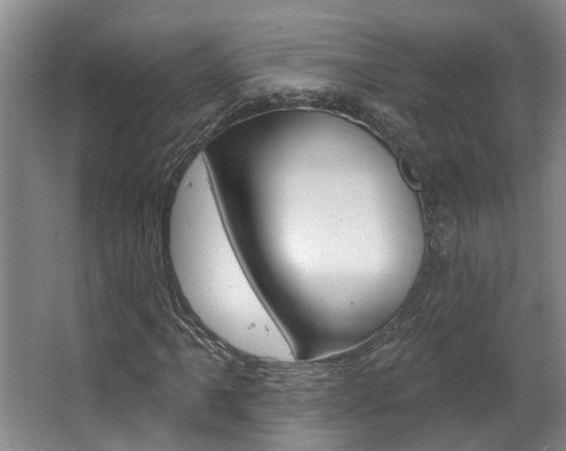 X0000063491061200601201045