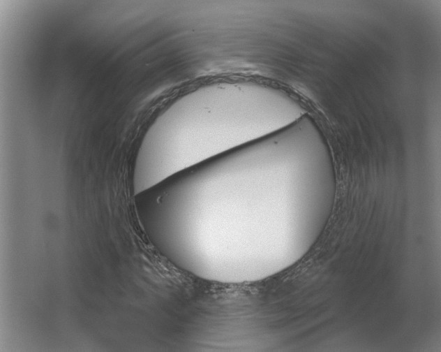 X0000063491063200601201045