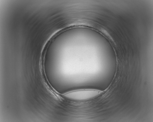 X0000063491076200601201045