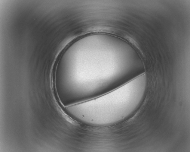 X0000063491082200601201045