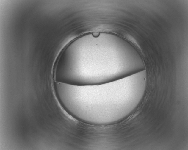 X0000063491087200601201045
