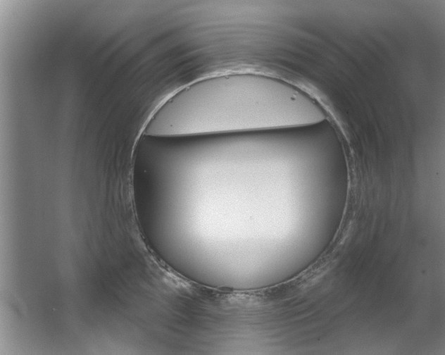 X0000063491097200601201044