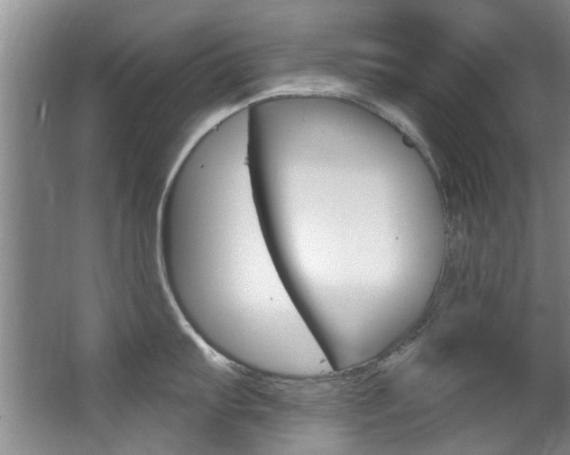 X0000063491103200601201044