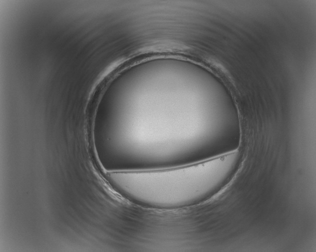 X0000063491114200601201044
