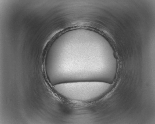 X0000063491117200601201044