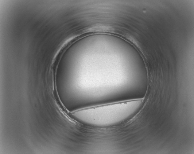 X0000063491123200601201044