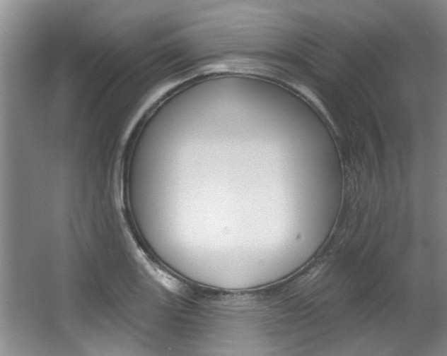 X0000063491131200601201044