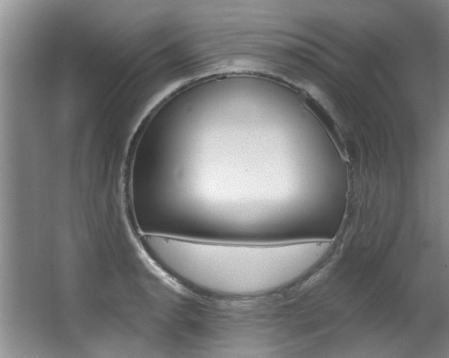 X0000063491134200601201044
