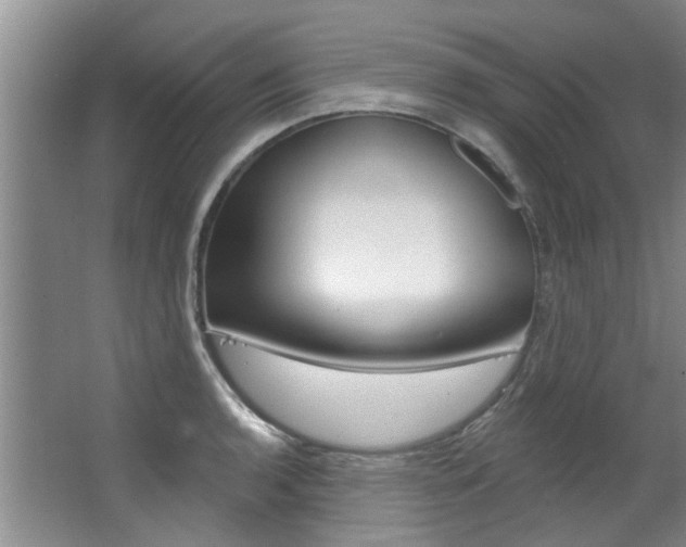 X0000063491136200601201044