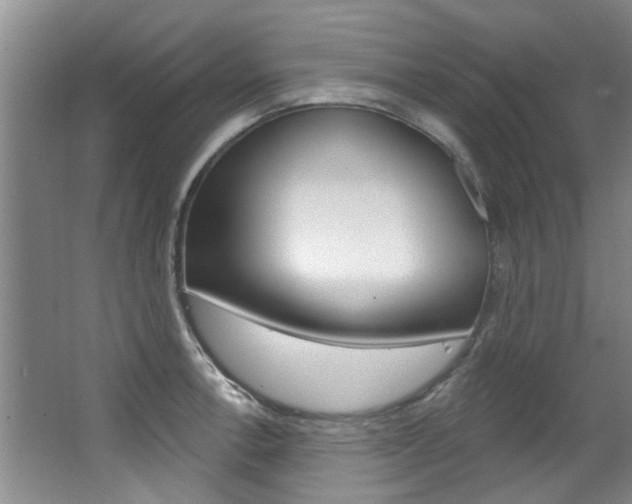 X0000063491138200601201044