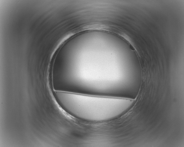 X0000063491139200601201044