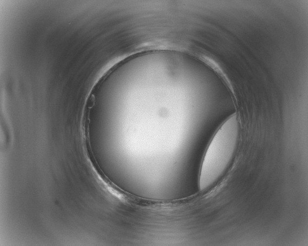 X0000063491141200601201044