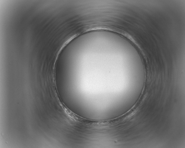 X0000063491145200601201044