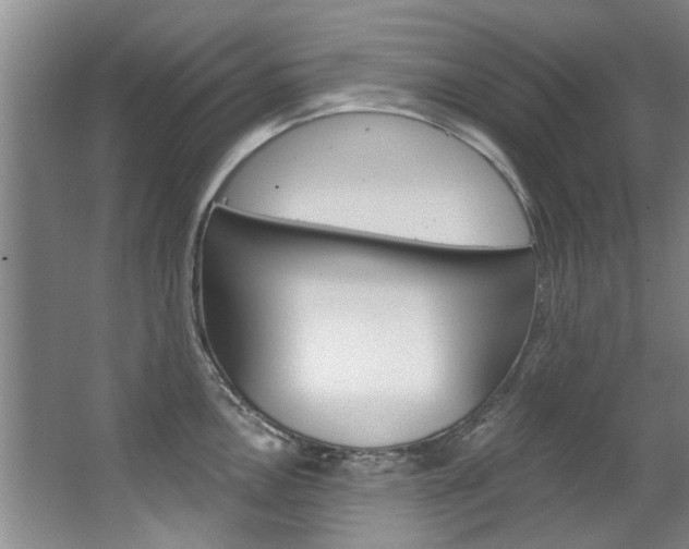 X0000063491146200601201044