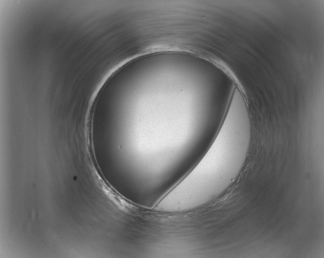 X0000063491148200601201044