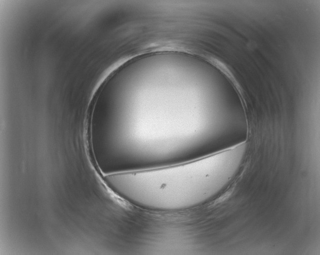 X0000063491149200601201044
