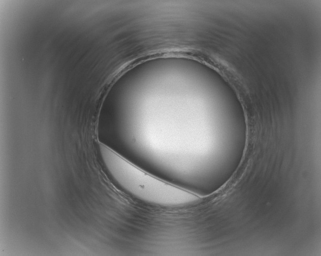 X0000063491169200601201043
