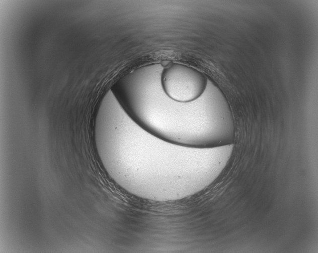 X0000063491201200601201042
