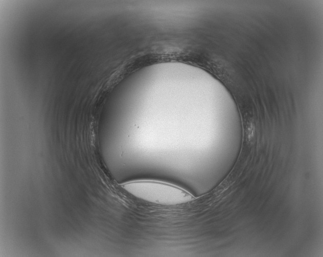 X0000063491204200601201042