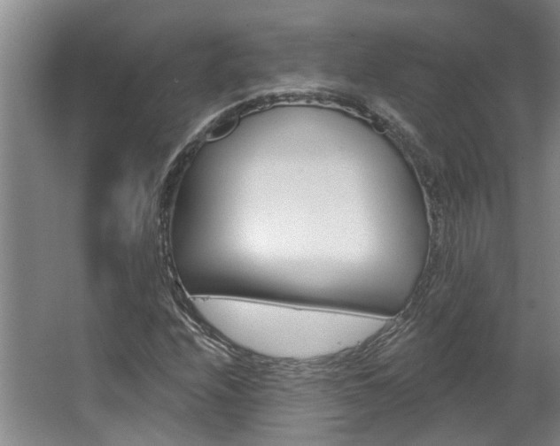 X0000063491208200601201042
