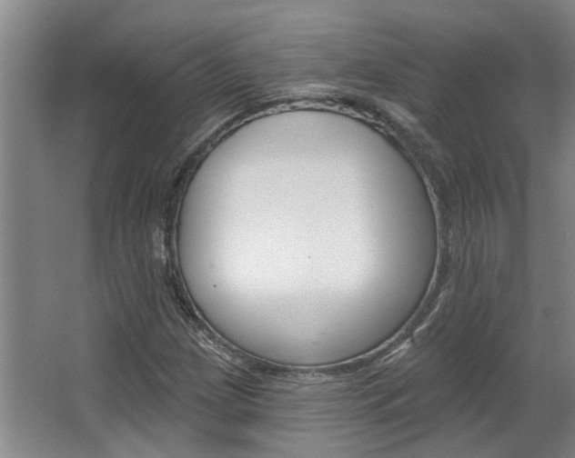 X0000063491209200601201042