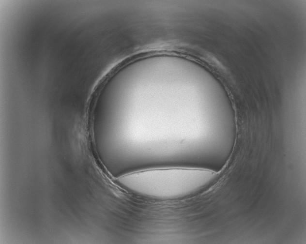 X0000063491216200601201042