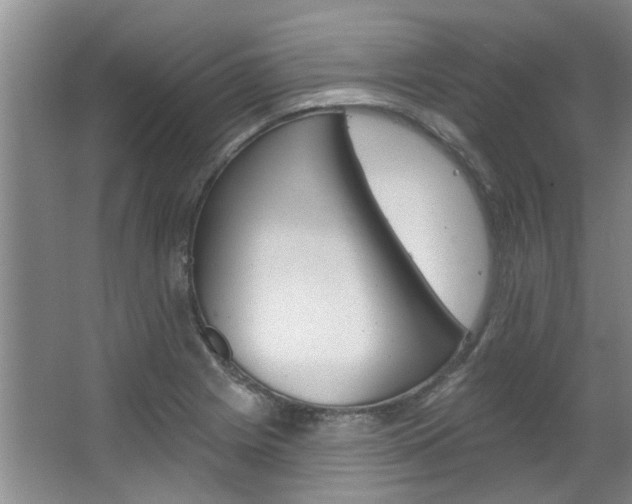 X0000063491225200601201042
