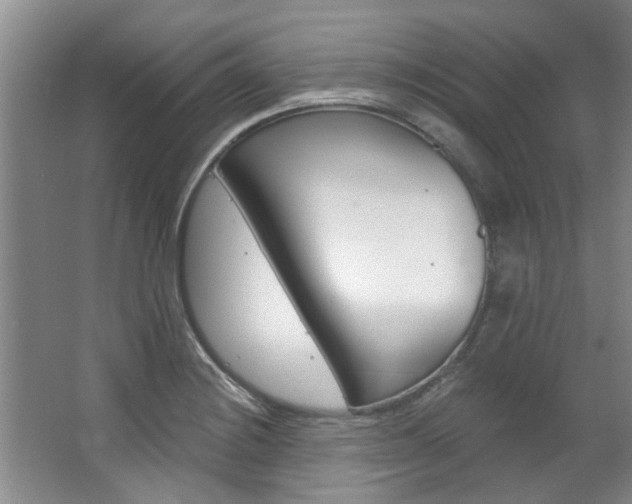 X0000063491228200601201042