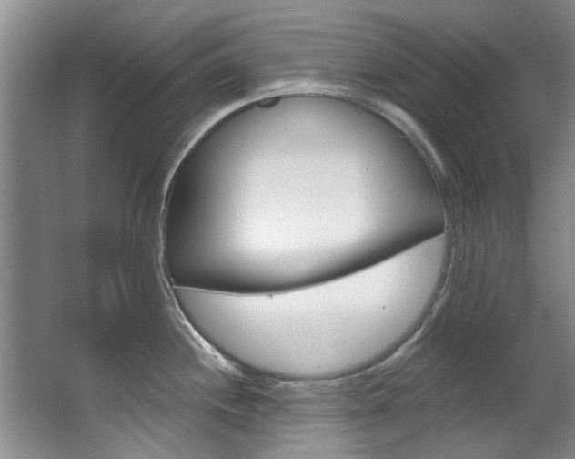 X0000063491244200601201043
