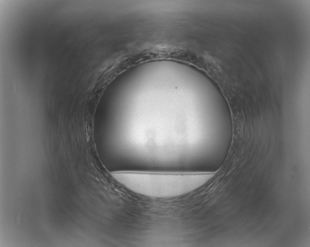 X0000063491253200601201042