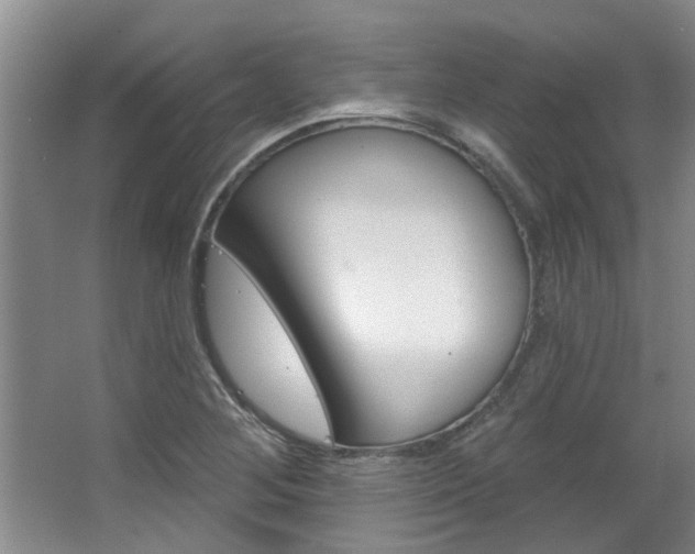 X0000063491268200601201041