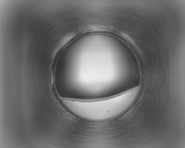 X0000063491269200601201041