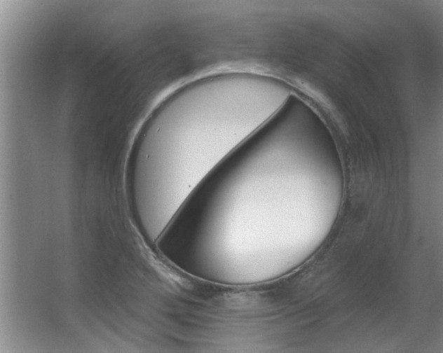 X0000063491272200601201041