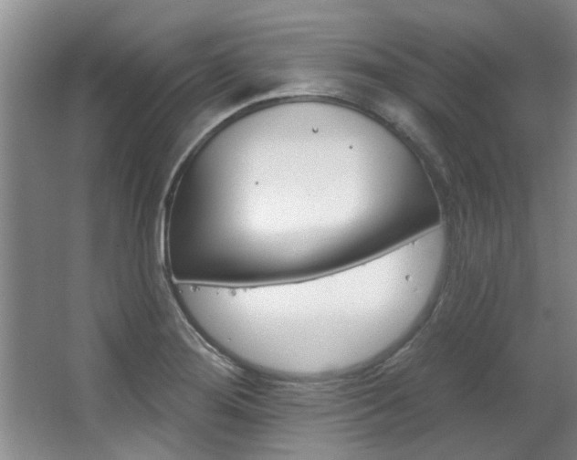 X0000063491276200601201041